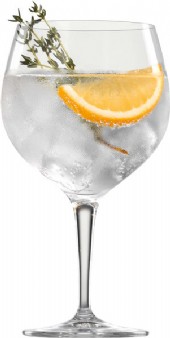 gin & tonic spiegelau