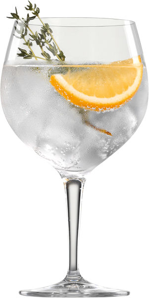 gin & tonic spiegelau